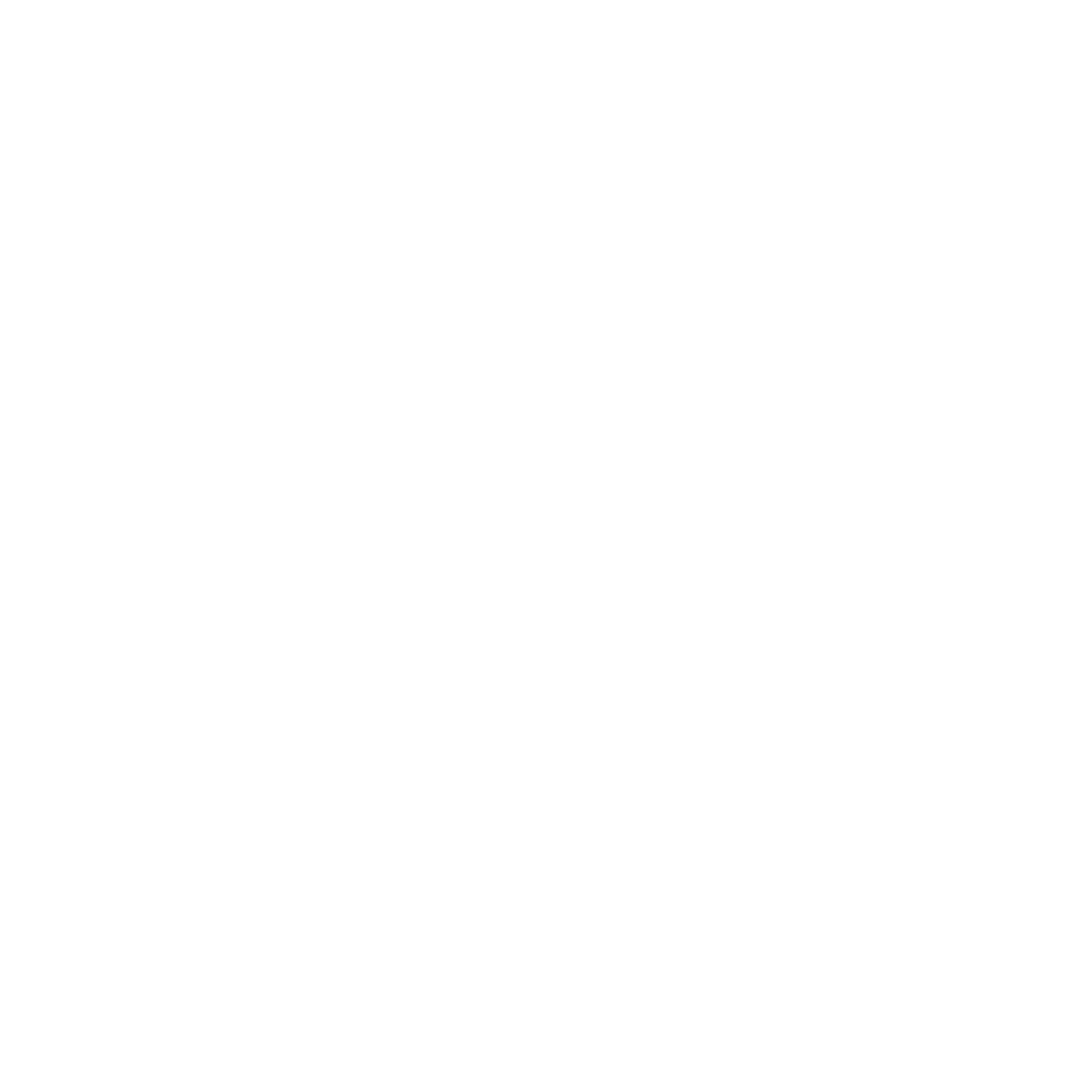 ADEMICON